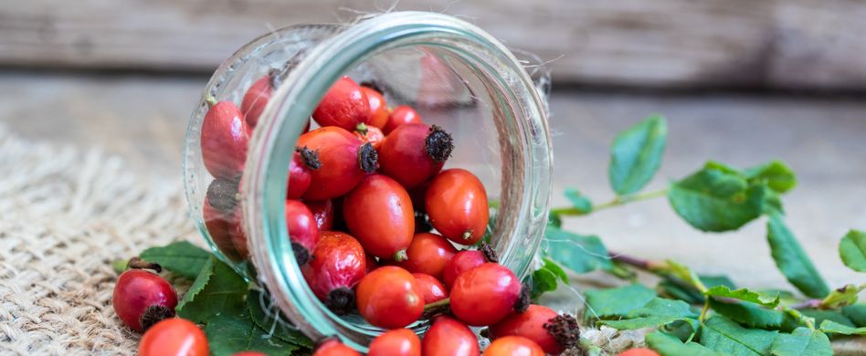 3 Heilpflanzen, die das Immunsystem stärken