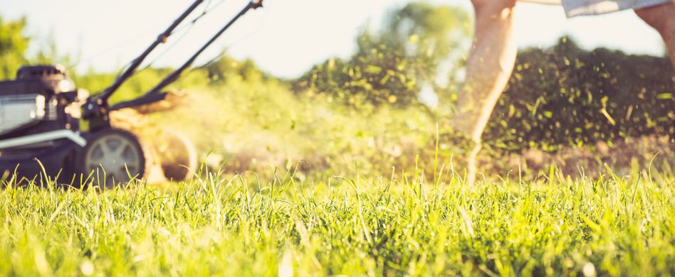 3 typische Fehler beim Rasenmähen
