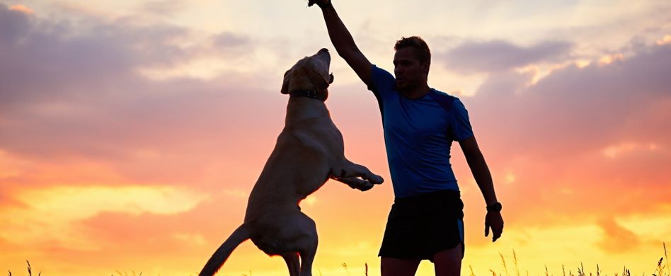 5 Gründe, warum Hundehalter länger leben