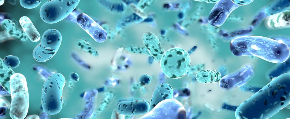 5 häufige Bakterien, die Ihrer Gesundheit schaden können