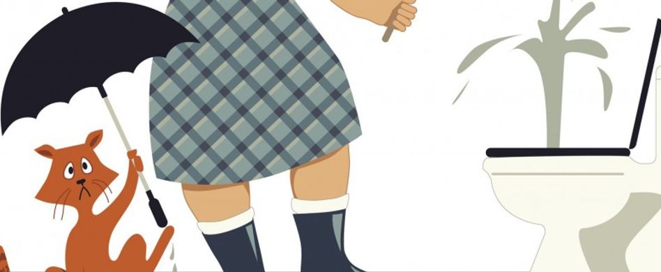 5 Tipps bei verstopften Rohren