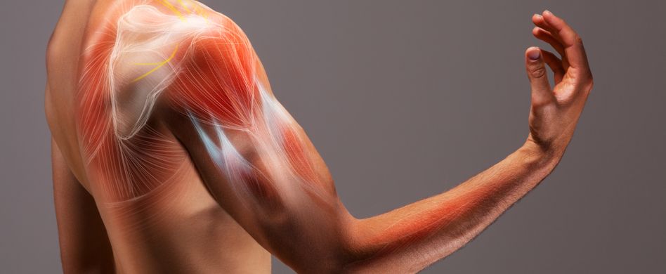 aufnahme von männlicher person mit bizeps muskeln