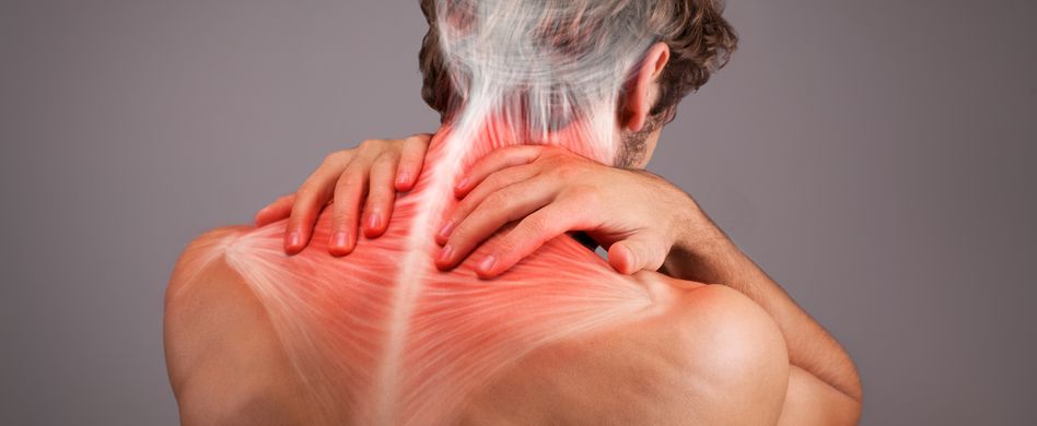 bild von mann in rückenansicht mit 3d abbildung von wirbelsäule, nerven und muskeln