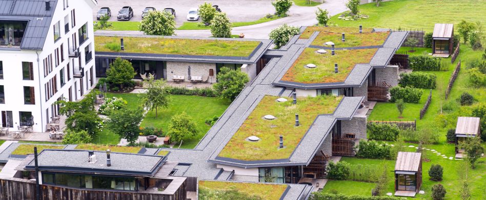 häusersiedlung mit gründächern wiese moose