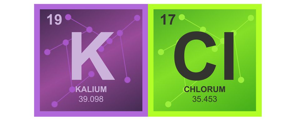 Mikronährstoff Chlorid: Wirkung, Tagesbedarf und Lebensmittel