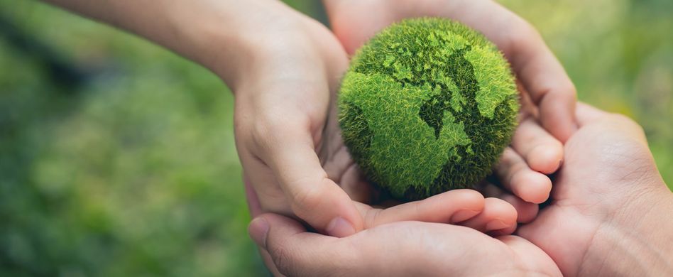 Garten nachhaltig gestalten: 6 Tipps