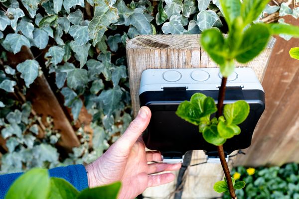 so-machen-sie-ihren-garten-einbruchsicher-bild-2