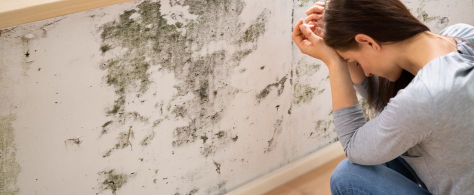 Schimmel in der Wohnung: So gesundheitskritisch sind Pilzsporen