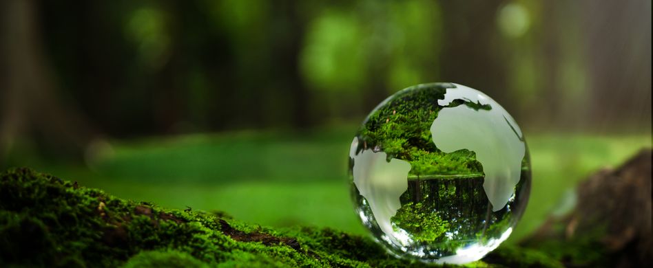 Nachhaltige Investitionen in Mehrfamilienhäuser: ESG-Kriterien und grüne Immobilien