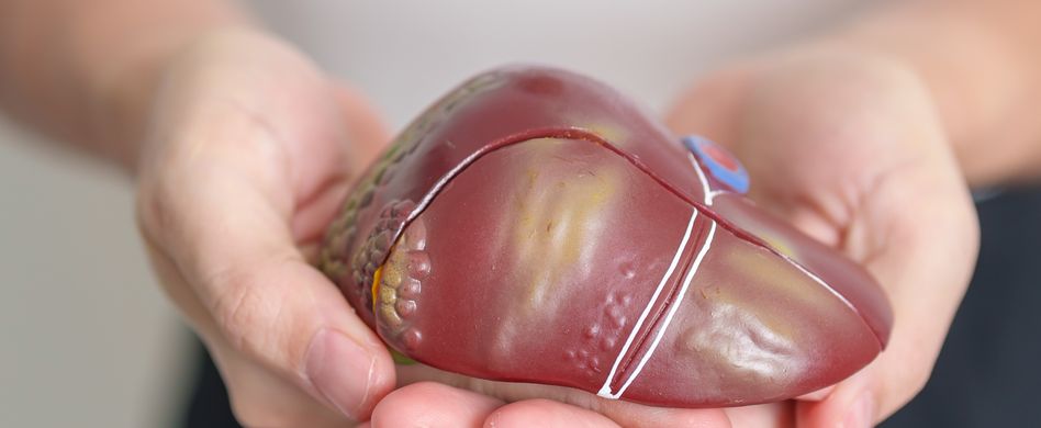 Nicht nur Alkohol ist kritisch: Die 5 größten Feinde der Leber