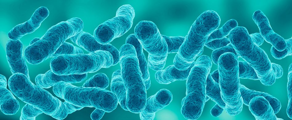 Legionärskrankheit: Ursachen, Symptome und Behandlung