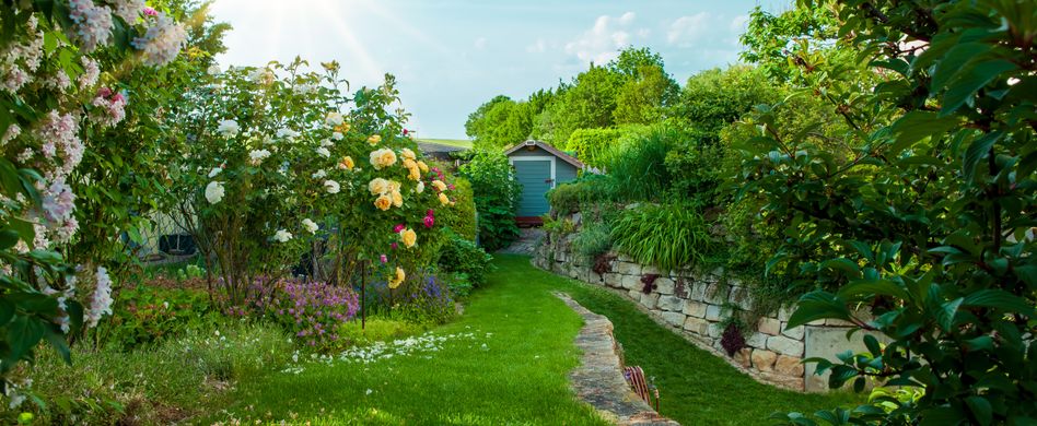 Gärtnern nach Jahreszeit – Tipps für jede Saison