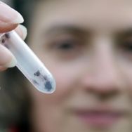 Profilbild von Dr. Dania Richter 