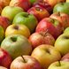 Äpfel richtig lagern: So bleibt das Obst lange frisch