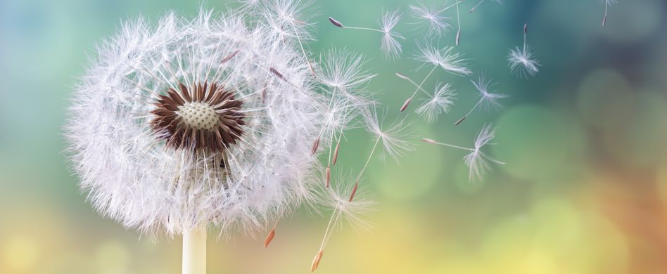 Allergien vorbeugen - das können Sie tun