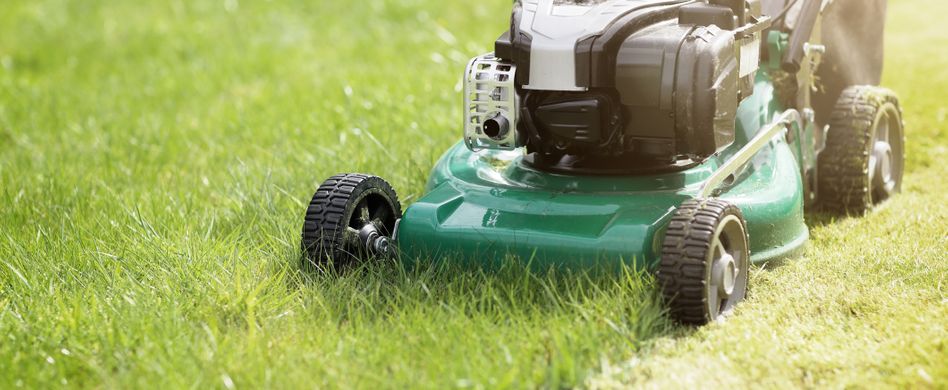 Alten Rasen richtig entfernen: So geht’s