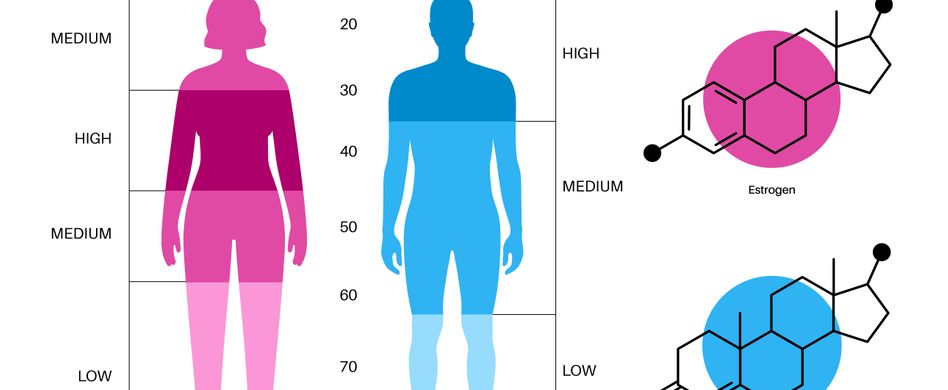 Andropause: Gibt es Wechseljahre beim Mann?