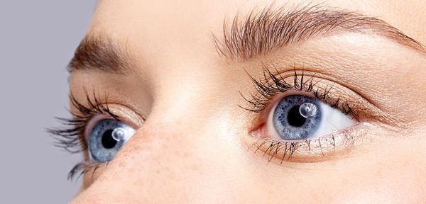 aufbau-des-auges-so-funktioniert-der-sehsinn-bild-2