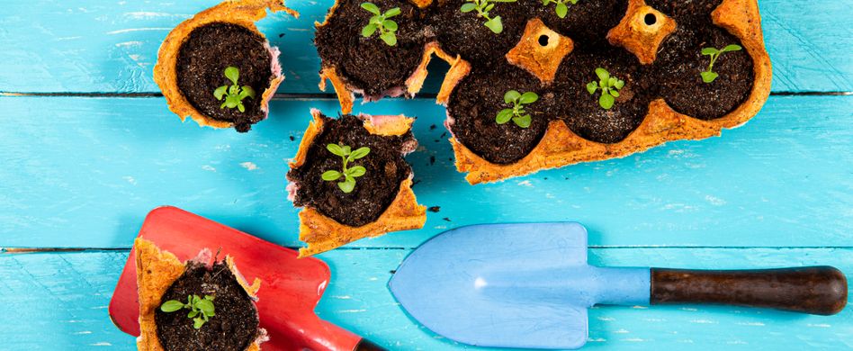 Aus alt mach neu: Pflanzen upcyceln