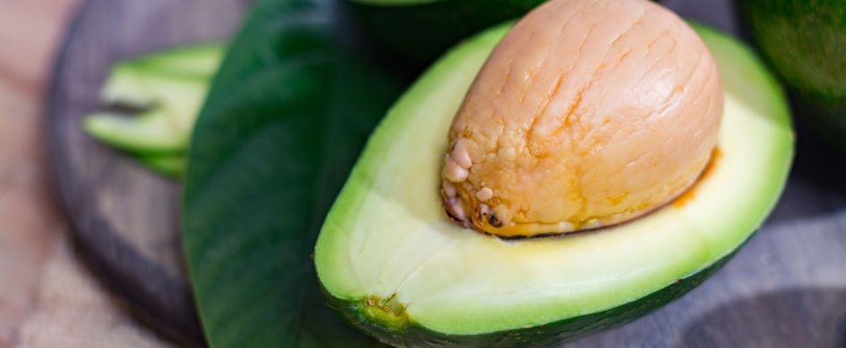 Avocadokern einpflanzen: Tropenstar auf der Fensterbank züchten