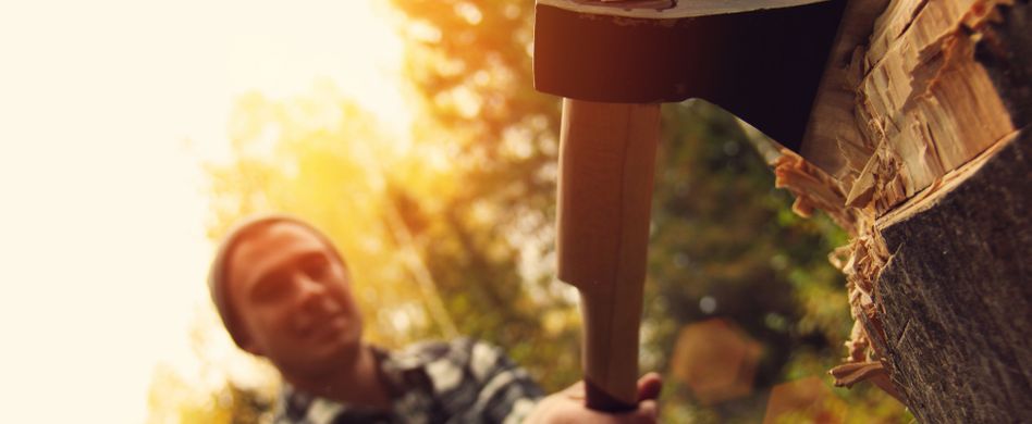 Axt kaufen: Tipps zum Kauf von Spalt- und Forstaxt