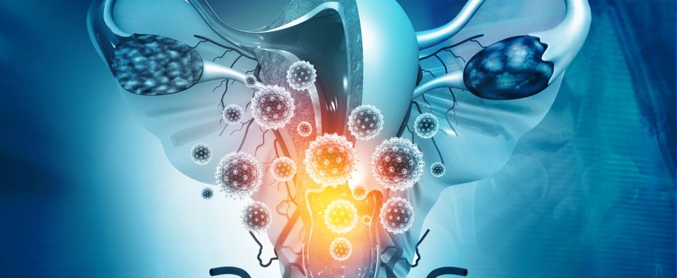 vagina mit errgern 3d grafik