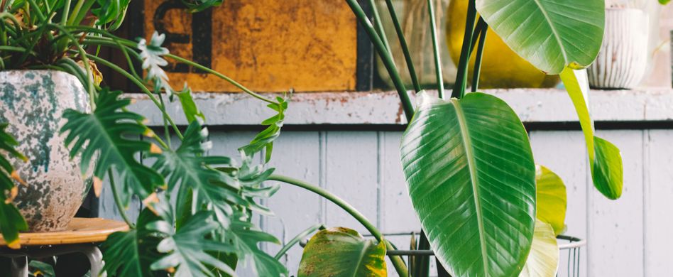 Balkon im Boho-Style: DIY-Anleitung für den angesagten Trend
