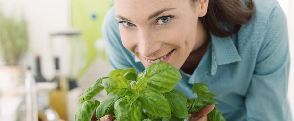 Basilikum: Was macht das Kraut so besonders?