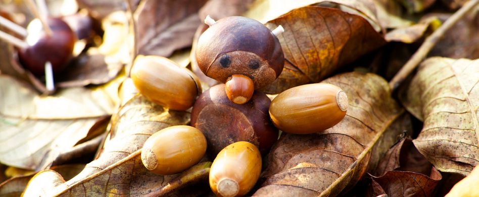 Basteln mit Naturmaterialien: Spaß mit Kastanien, Tannenzapfen und Co.