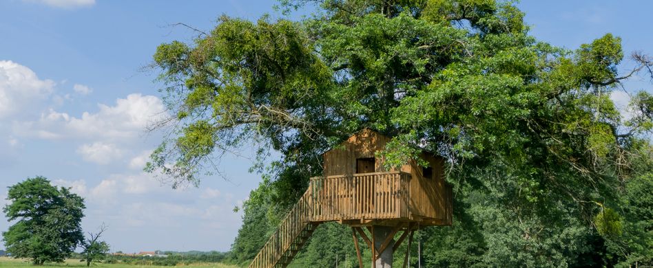 Baumhaus bauen: Tipps zu Standort, Sicherheit und Co.