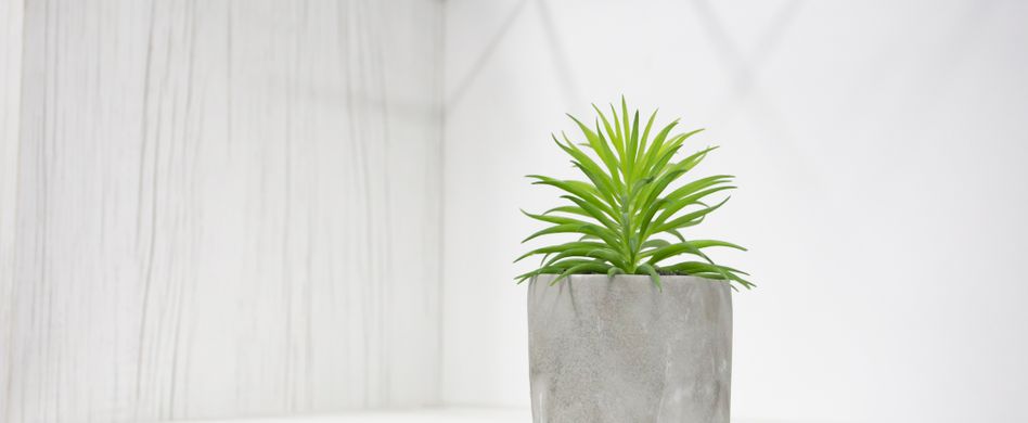 Betonvase selber machen: So schnell und einfach basteln Sie die Trend-Deko