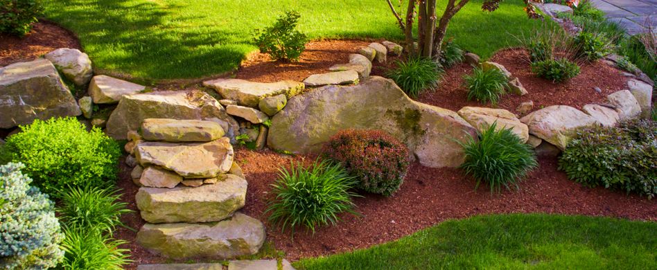 Biologische Gartenpflege: Umweltfreundliche Tipps für das heimische Grün