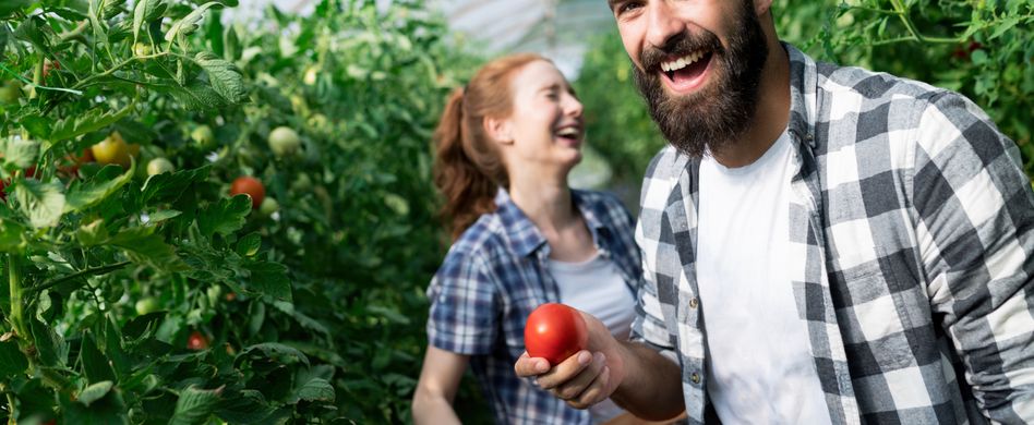 Blumen, Gemüse und Obst: Welche Pflanzen für das Gewächshaus?