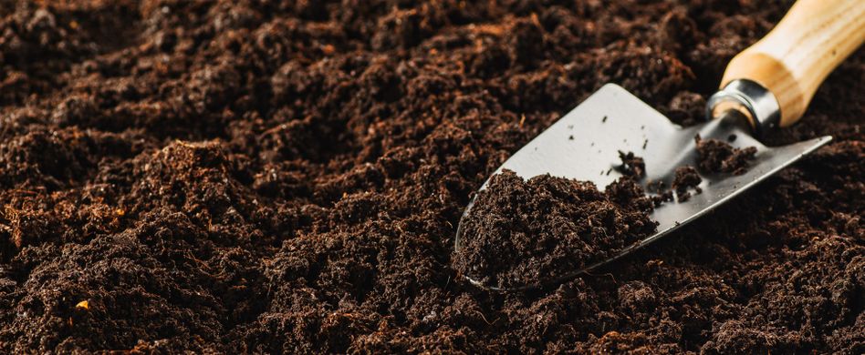 Blumenerde kaufen: So finden Sie die richtige Gartenerde