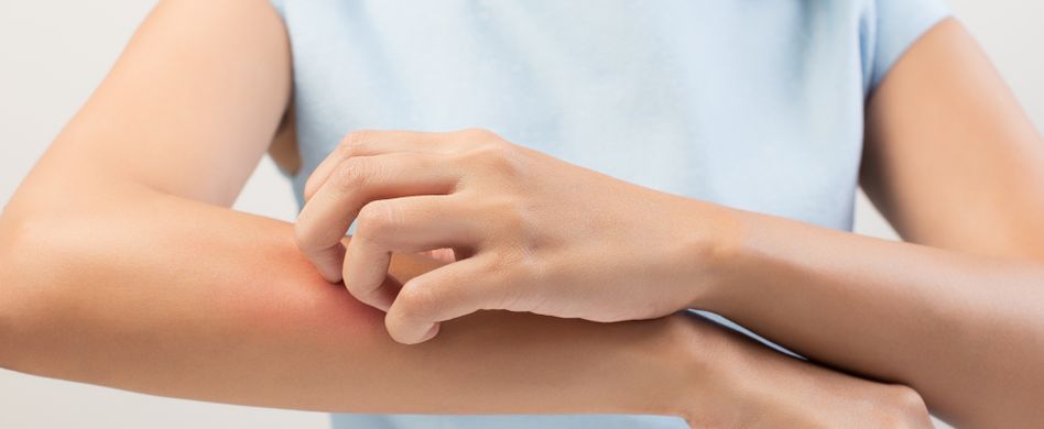 Borreliose durch Mücken: Übertragen die Blutsauger die Krankheit?