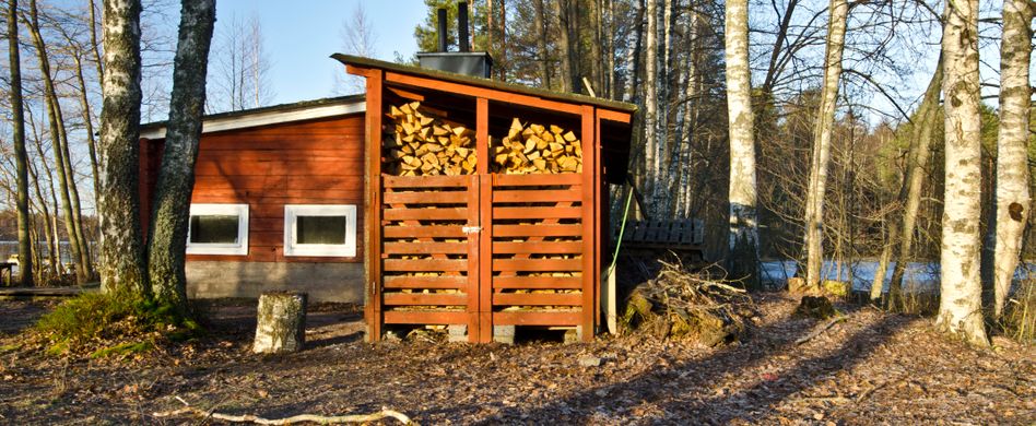 Brennholz lagern: Wie Sie Schimmelbefall vermeiden