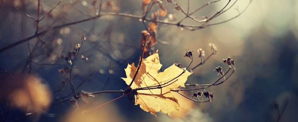 Checkliste für den Trauerfall