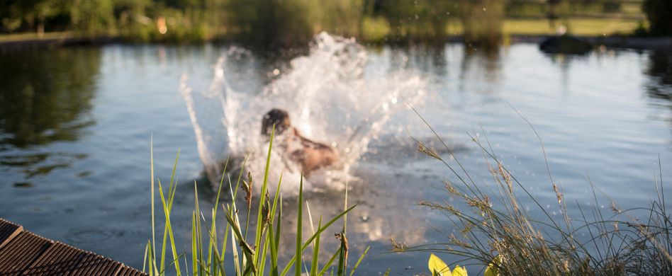 Chemiefreie Pool-Alternativen: Schwimmteich und Naturpool