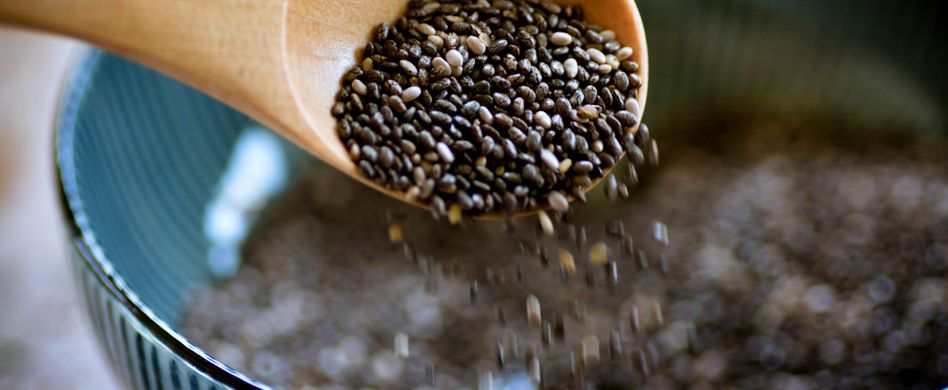 Chia-Samen: Heilpflanze der Maya