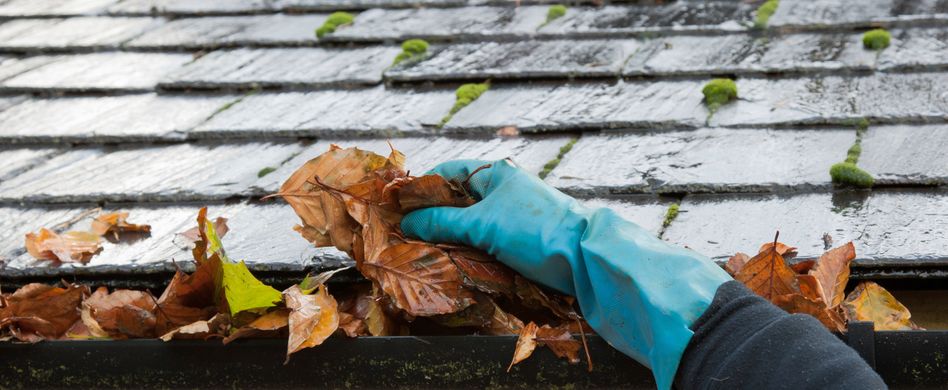 Dachrinnen: Funktion, Bauvorschriften und Pflege