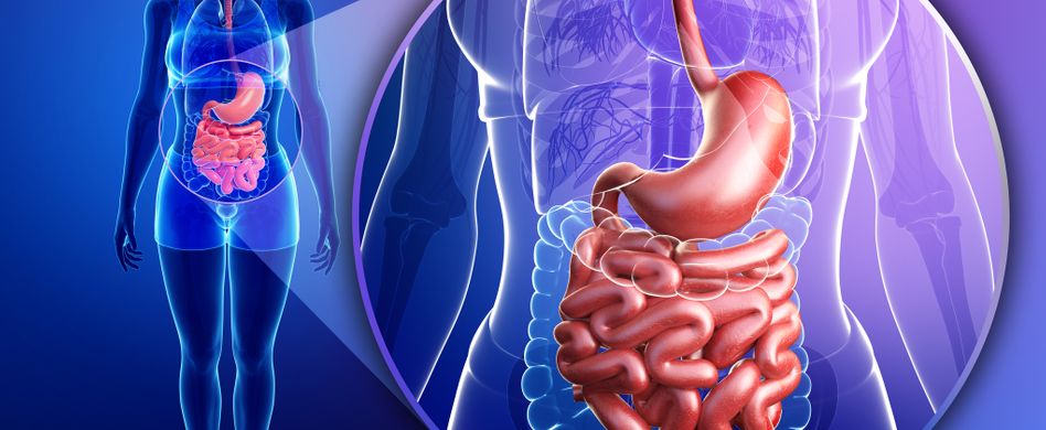 Darmerkrankungen: Verdauungsprobleme sind ein Warnsignal