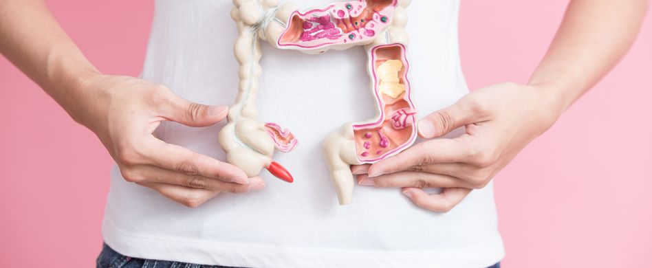 Darmkrebs ist ein Dickdarm-Problem