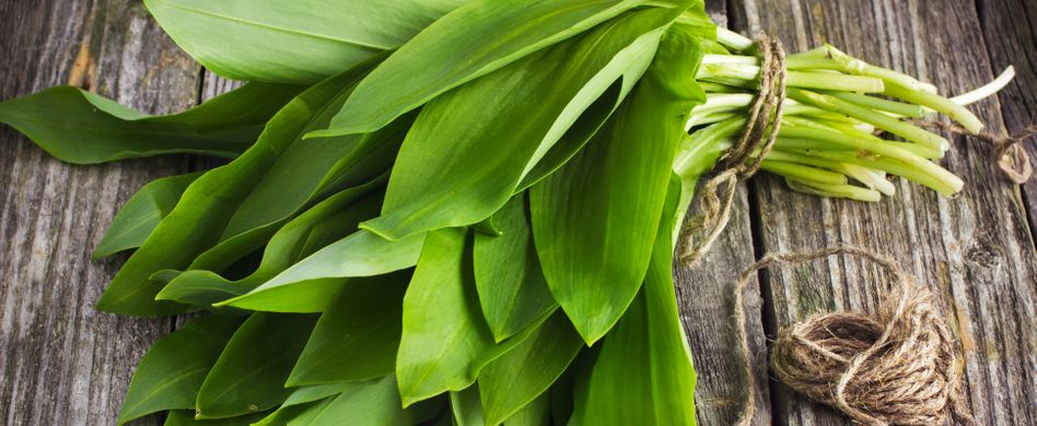 Darum ist Bärlauch gesund: 3 Fakten zum Frühlingskraut