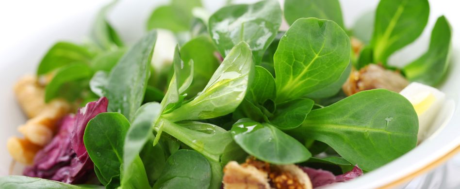 Darum ist Feldsalat gesund: 3 Fakten
