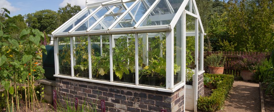 Das richtige Fundament für das Gewächshaus planen: Worauf es ankommt