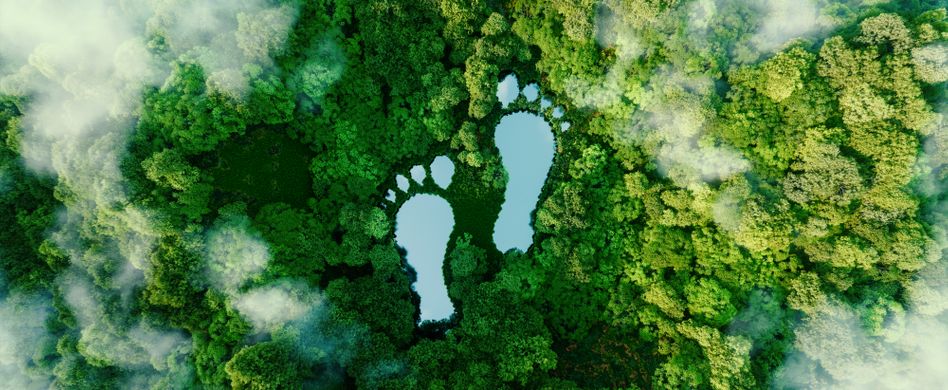 Das sind die nachhaltigsten Länder der Welt