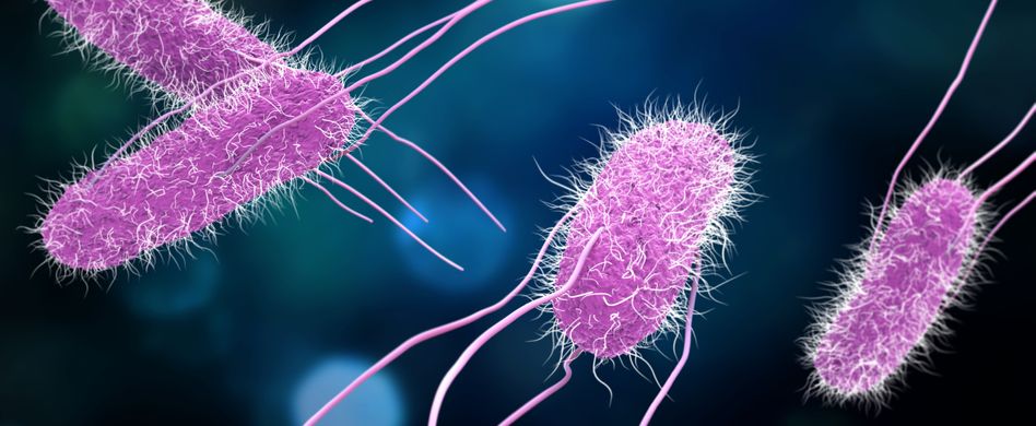 Das sind die Ursachen der Gastroenteritis