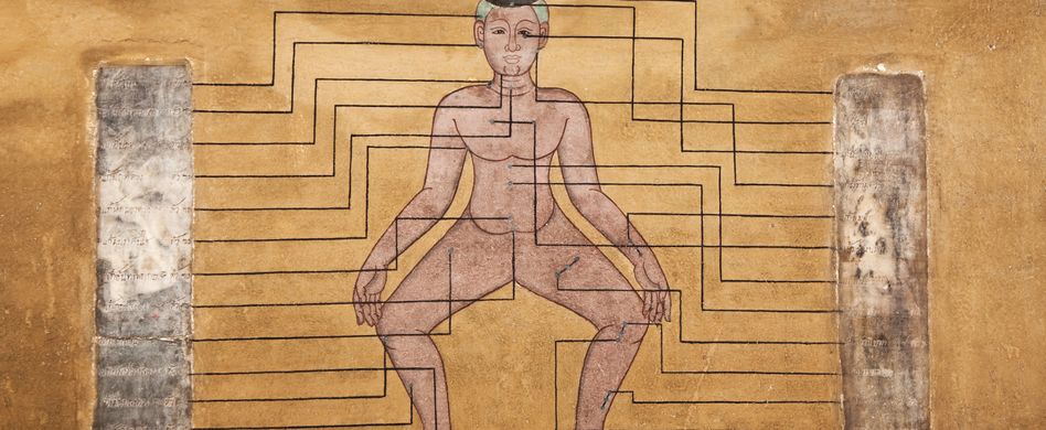 Die Geschichte der Akupunktur