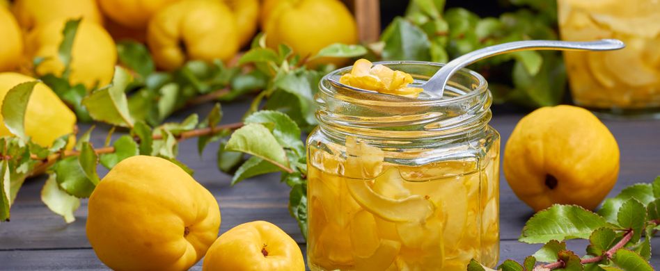 Die Quitte – unterschätztes Früchtchen