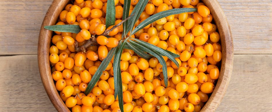 Die Wirkung von Sanddorn - So wirkt die Beere wirklich